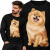 BLUZA ZWIERZĘTA  MINI SPITZ